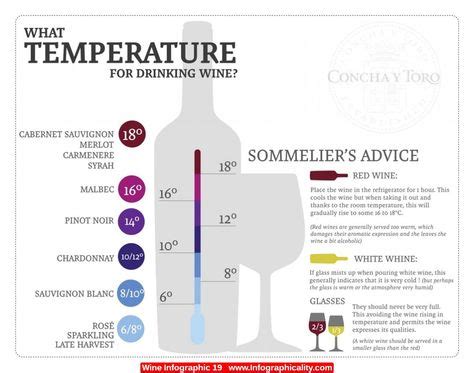 how long should champagne be chilled.